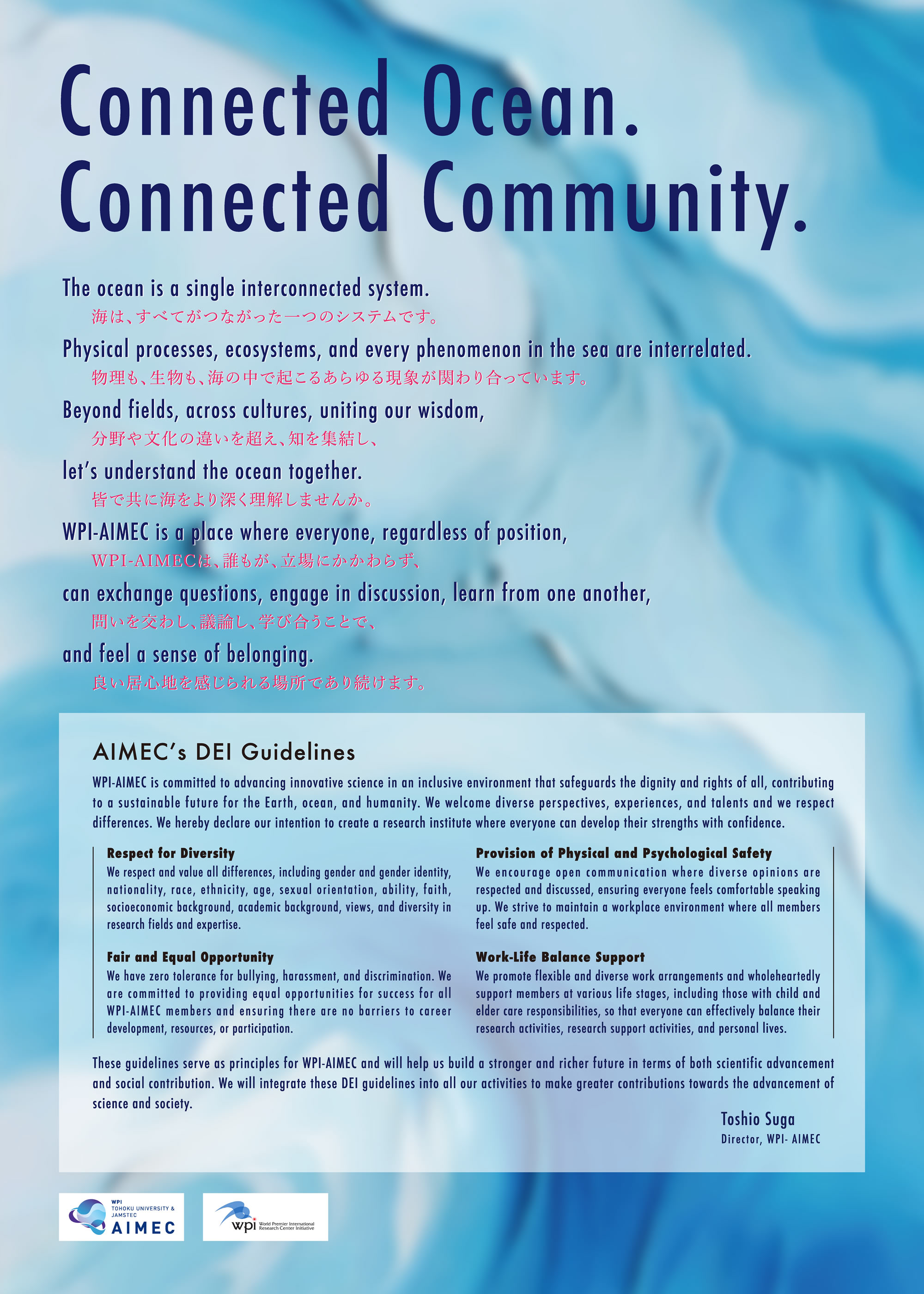 DEI Guideline