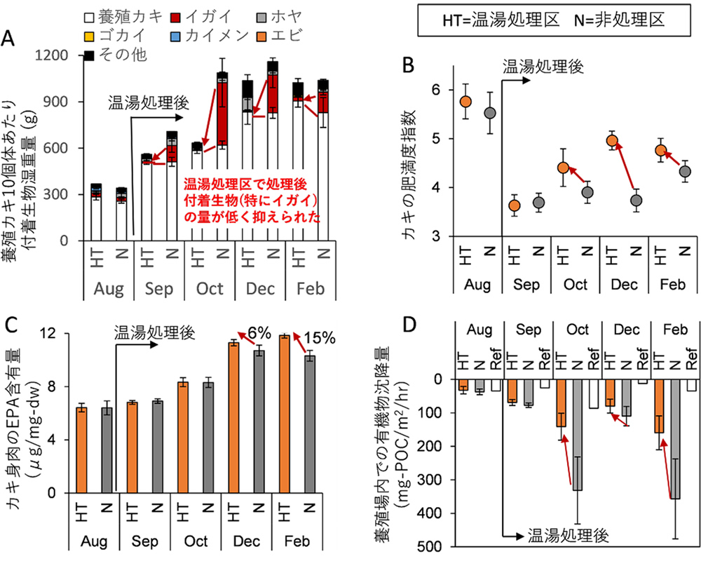 図2　A. 温湯処理による付着生物の減少、B. カキ育成（肥満度）の向上、C. カキ身肉中EPA含有量の上昇、D. 海底への有機物沈降量削減効果