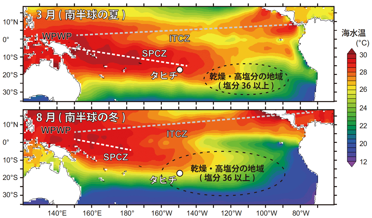 図5．現代における南半球の夏（上）と冬（下）の表層海水温分布