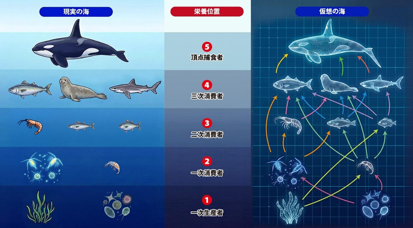 本発見の概略