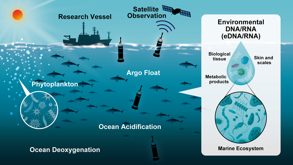 Research theme I：Deciphering Climate-Ocean-Ecosystem Interactions and Regime Shift
